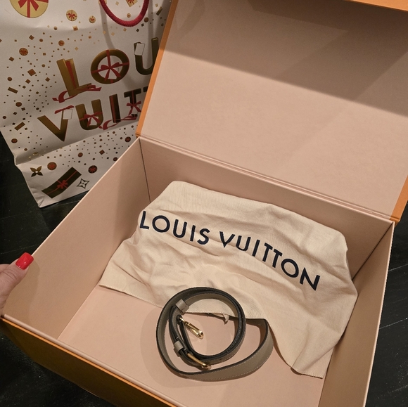 Louis Vuitton BRAND NEW Authentic Maida Beige Handbag - Picture 5 of 16